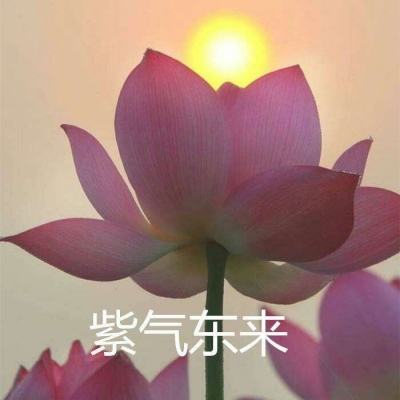 超级跑酷粘液人游戏下载